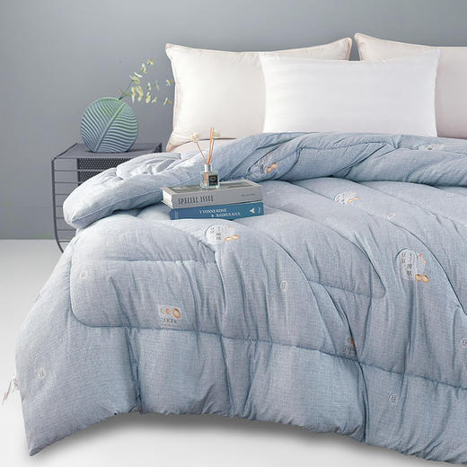 【紫韵家纺】紫韵 大豆暖绒生态被 ZY-BM1622 200*230cm 商品图1