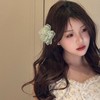 【绝美啦❗️超仙欧根纱花朵发夹】2025年新款度假风刘海夹森系花花夹子，带上秒拍氛围感照片美出新高度，网红夹子发饰仙女款发饰后脑勺夹QQ 商品缩略图0