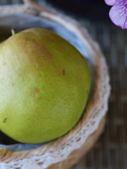 玉露香梨🍐🍐目前少有的好鲜梨，皮薄肉厚水份足，清甜水嫩，好吃[色][色] 商品图5
