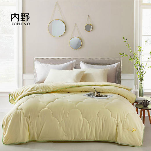 内野   舒馨大豆抗菌被   HU-HY03B03 商品图0
