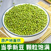 【清凉！农家自种绿豆1500g更值】当季新豆，颗粒饱满，好煮易烂，出沙软糯，明绿豆笨易煮新货五谷杂粮粗粮冰沙未脱皮 商品缩略图3