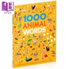 【中商原版】DK 1000个动物词 DK 1000 Animal Words 英文原版 儿童图解词典 单词学习图画书 精装进口童书 5-7岁 语言词汇书 商品缩略图1