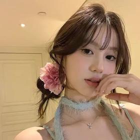 【拍照氛围感神器，古风牡丹花发夹】发夹焦边干枯牡丹氛围感，拍照鸭嘴夹侧边气质发饰头饰品QQ