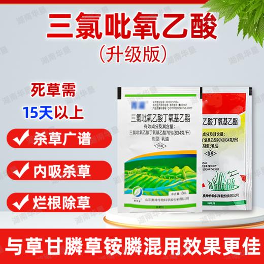 70%三氯吡氧乙酸水花生构树灌木恶性阔叶杂草藤蔓烂根专用除草剂 商品图4