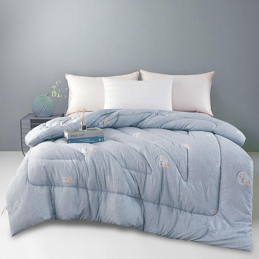 【紫韵家纺】紫韵 大豆暖绒生态被 ZY-BM1622 200*230cm 商品图0