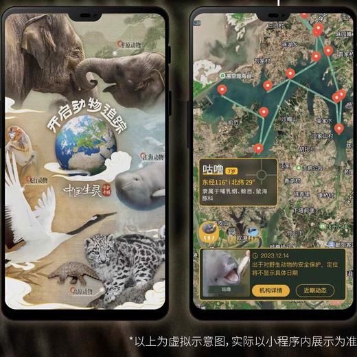 追踪动物手链合集 中国生灵 商品图1