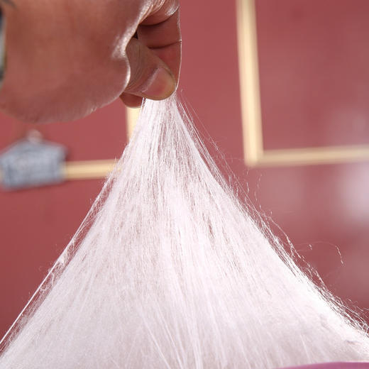 【紫韵家纺】紫韵 丝韵提花蚕丝被 ZY-BM1673 200*230cm 商品图4