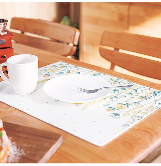 PVC餐垫 商品图3