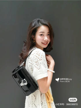 高品代购级，最新款法棍包小号