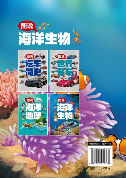 图说海洋生物 商品图1