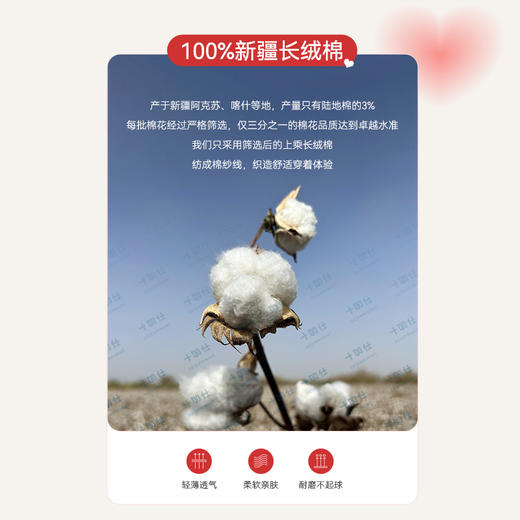 十如仕50支水柔棉短袖T恤-情侣特别款-T10-02 商品图8