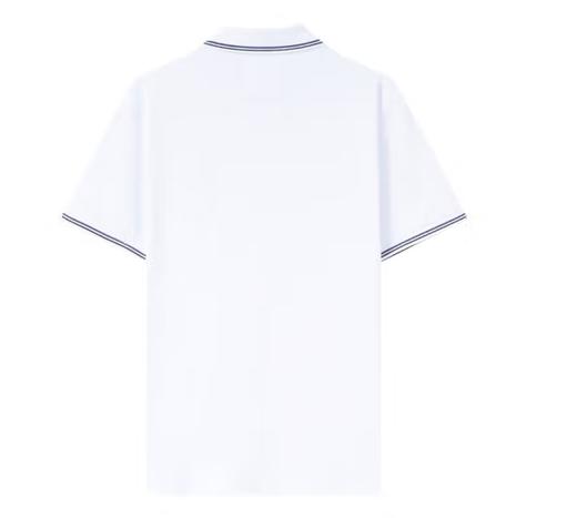 ARMANI 阿玛尼 2024春夏新品 EA男士鹰标图案短袖POLO衫 520礼物  8N1FB4 1JPTZ 0100 商品图0