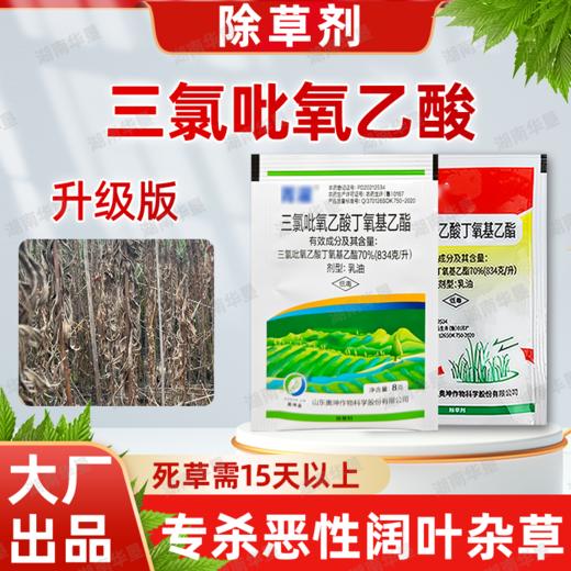 70%三氯吡氧乙酸水花生构树灌木恶性阔叶杂草藤蔓烂根专用除草剂 商品图0