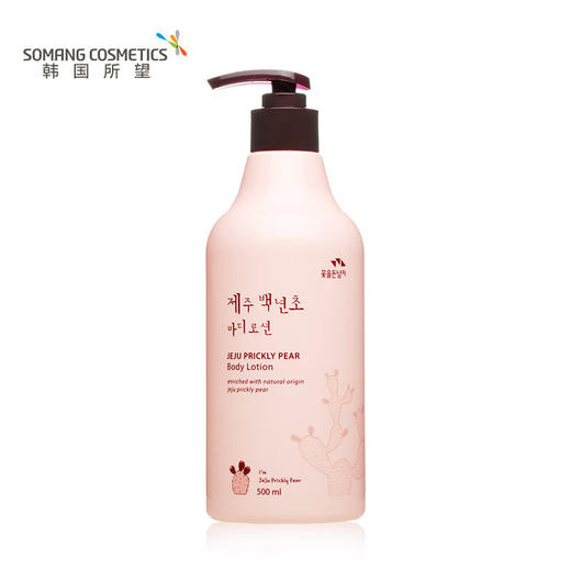 所望（SOMANG）济州岛百年草 商品图1