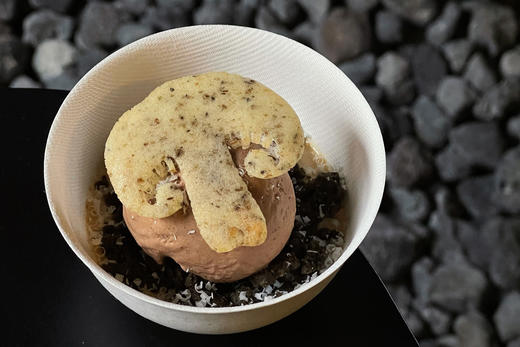 黑伞伞榛子牛肝菌 商品图0