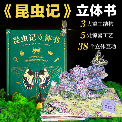 昆虫记立体书（10大跨页，38个立体互动，50个昆虫，上百个知识点，震撼呈现法布尔《昆虫记》课外阅读名著，赠“昆虫观察指南”） 商品图0