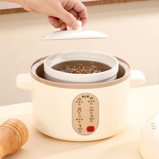 栢士德 微电脑隔水电炖锅BSD-WG108 商品图8