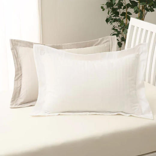 全棉枕套单人学生宿舍不含芯 纯棉枕套 商品图0