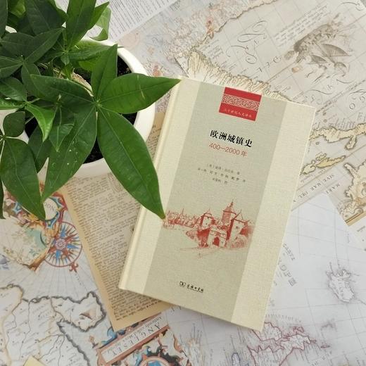 欧洲城镇史：400－2000年(二十世纪人文译丛)  [英]彼得•克拉克 著 商品图3