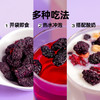 全食物日记×妆食记 冻干黑桑葚脆片  低温冷冻干燥20g即食无沙免洗 商品缩略图1