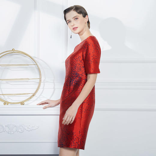 KA8B7斯尔丽瑟俪春秋季新品气质优雅修身版定位提花连衣裙 商品图2