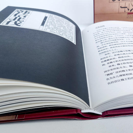 《布衣天子：汉高祖刘邦》上下册（王立群读史记系列） 商品图10