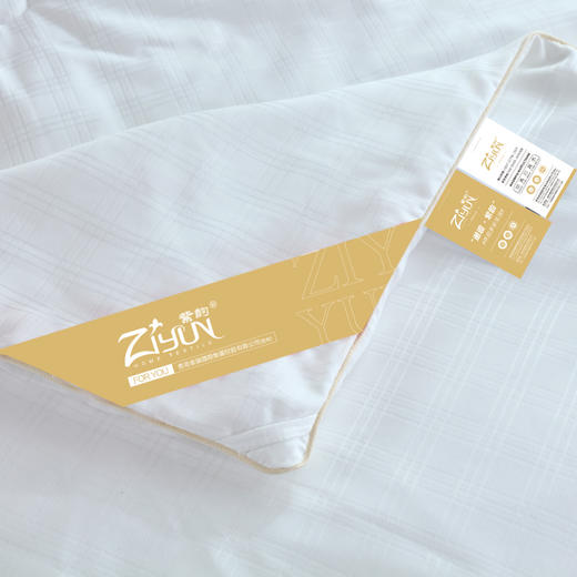 【紫韵家纺】紫韵 锦缎蚕丝被 ZY-BQ1510 200*230cm 商品图4