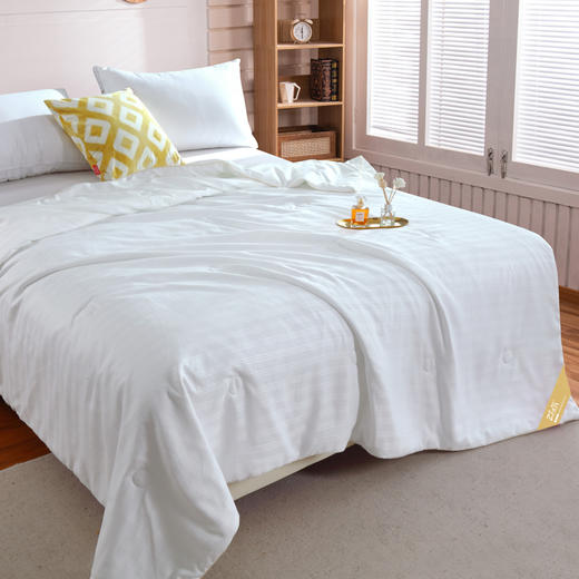 【紫韵家纺】紫韵 锦缎蚕丝被 ZY-BQ1510 200*230cm 商品图1