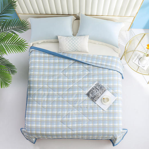 内野    雅兰格调水洗被   HU-HY01B17 商品图2