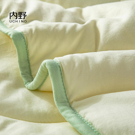 内野   舒馨大豆抗菌被   HU-HY03B03 商品图6