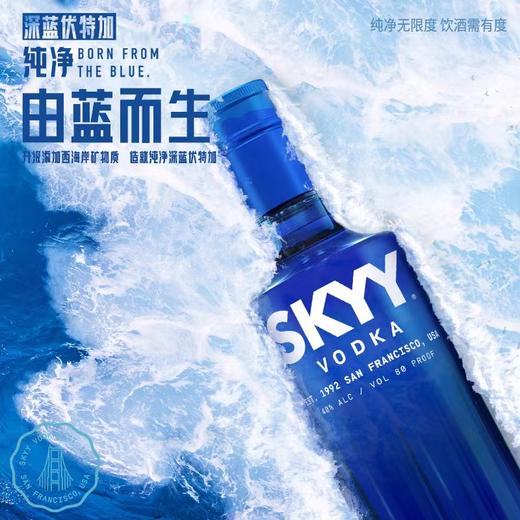 SKYY深蓝伏特加原味 商品图4