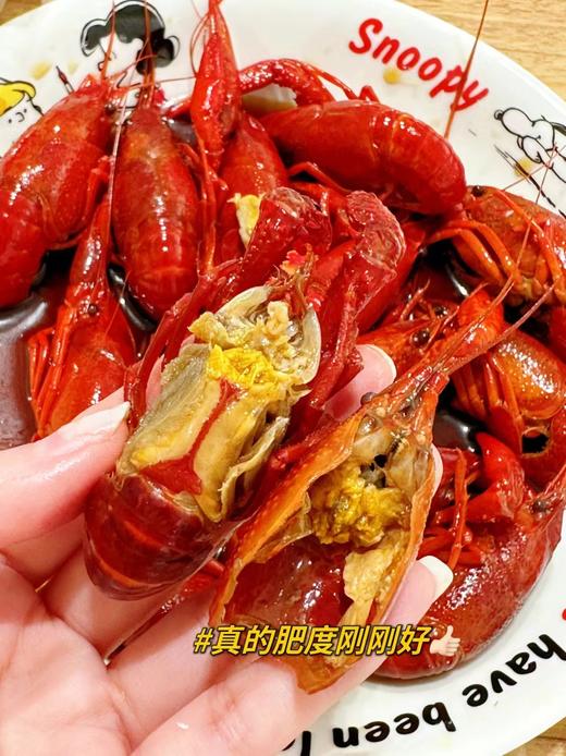 前20份破价2025新虾现做发顺丰花雕熟醉小龙虾 商品图9