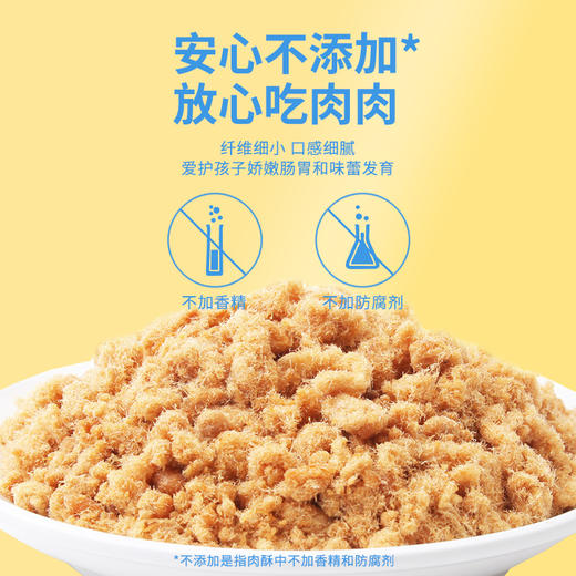 100g阳湖人儿童肉酥 商品图0