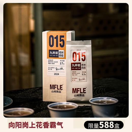 【山纯限品】（2024年）015九井岩·老树肉桂17g 商品图1