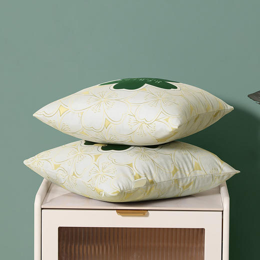 内野   时尚小清新抱枕   HU-HY06Z08 商品图6