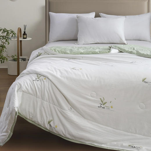 【紫韵家纺】紫韵 茶多酚抑菌美肤被 ZY-BM1668 200*230cm 商品图1