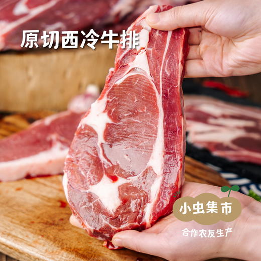 锡林郭勒生态黄牛肉（部分规格有折扣） | 合作农友生产，产自内蒙古锡林郭勒盟东部乌珠穆沁草原，生产者：何梅 *【公平贸易农人定价】 商品图5