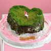 粉色海洋·岛屿微景观蛋糕3 商品缩略图0