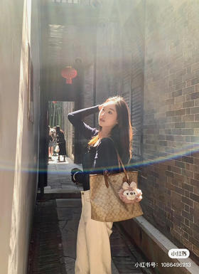 纯原单coach蔻驰托特