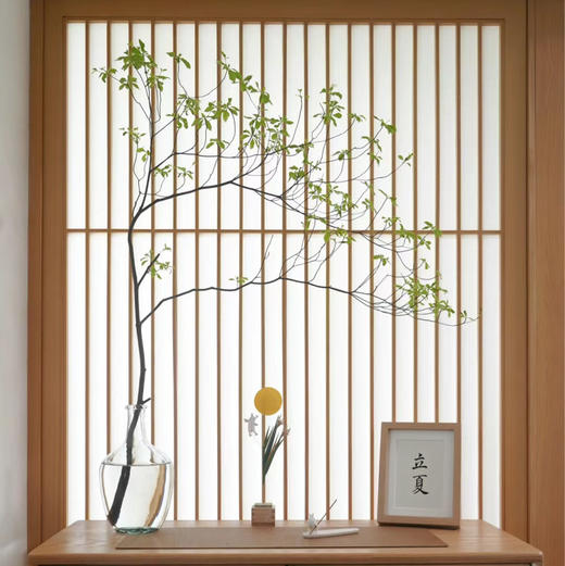 家简法空间开业专属花礼 商品图6