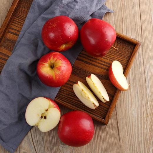 新西兰皇后苹果16个礼盒装(2.4kg以上) 商品图3