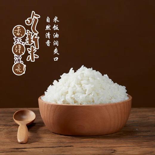 初萃五优稻4号五常特别栽培大米500g(真空） 商品图1