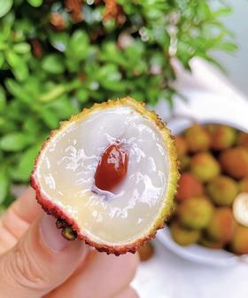 【京东/顺丰冷运】海南好物 妃子笑荔枝 2.8斤/4.5斤装