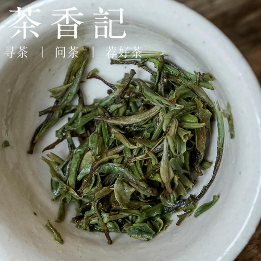 茶香记 政和五星白牡丹024一斤装 牡丹王 余步贵 毫香 花香奶韵 商品图3