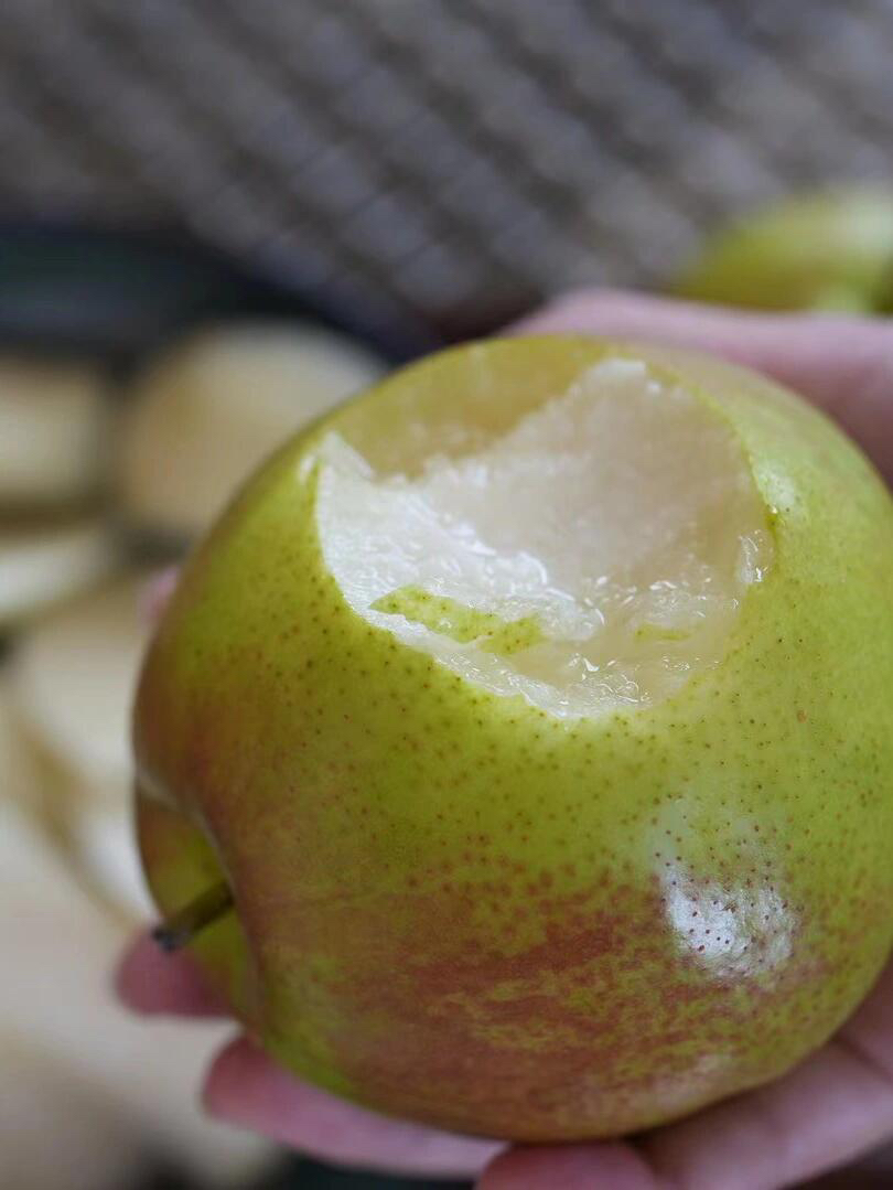 玉露香梨🍐🍐目前少有的好鲜梨，皮薄肉厚水份足，清甜水嫩，好吃[色][色]