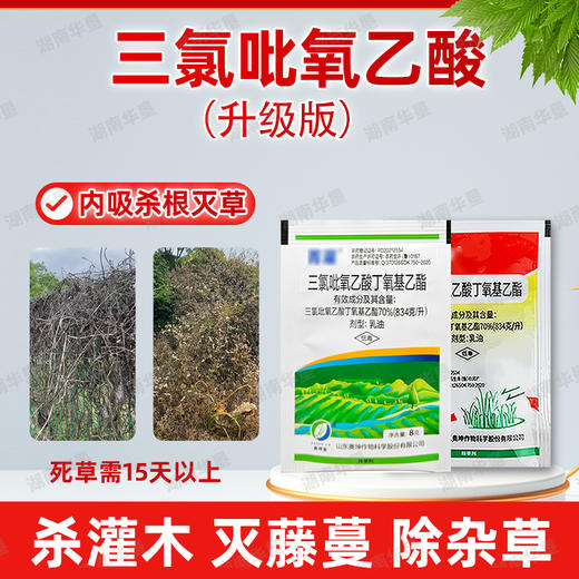 70%三氯吡氧乙酸水花生构树灌木恶性阔叶杂草藤蔓烂根专用除草剂 商品图2