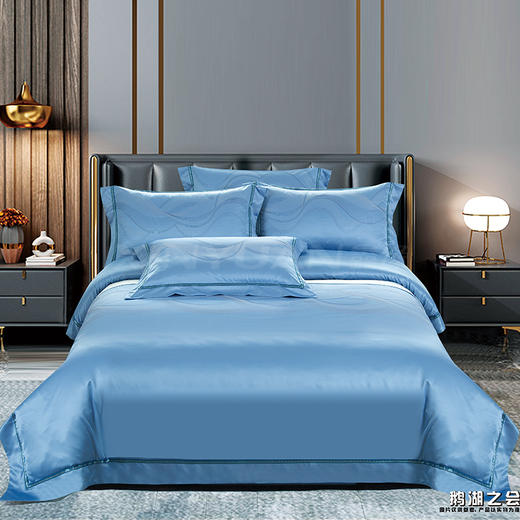 鑫缘 高档色织提花四件套 DXC8418 商品图2