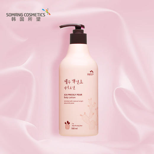 所望（SOMANG）济州岛百年草 商品图0