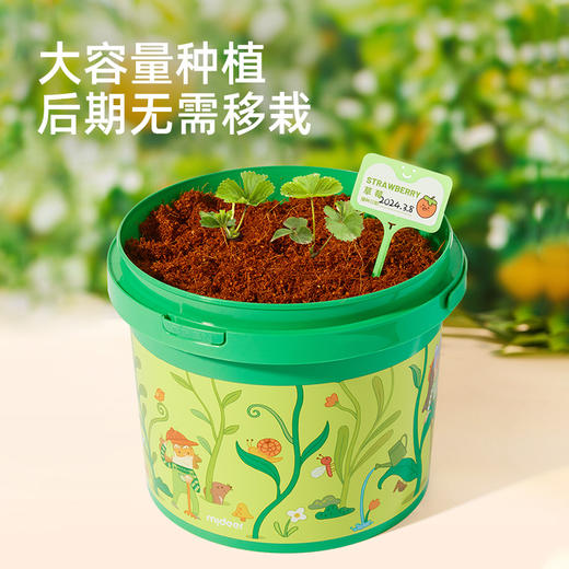 mideer万物生长-攀爬吨吨桶 商品图2