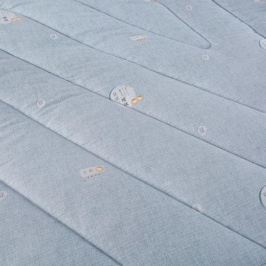 【紫韵家纺】紫韵 大豆暖绒生态被 ZY-BM1622 200*230cm 商品图4